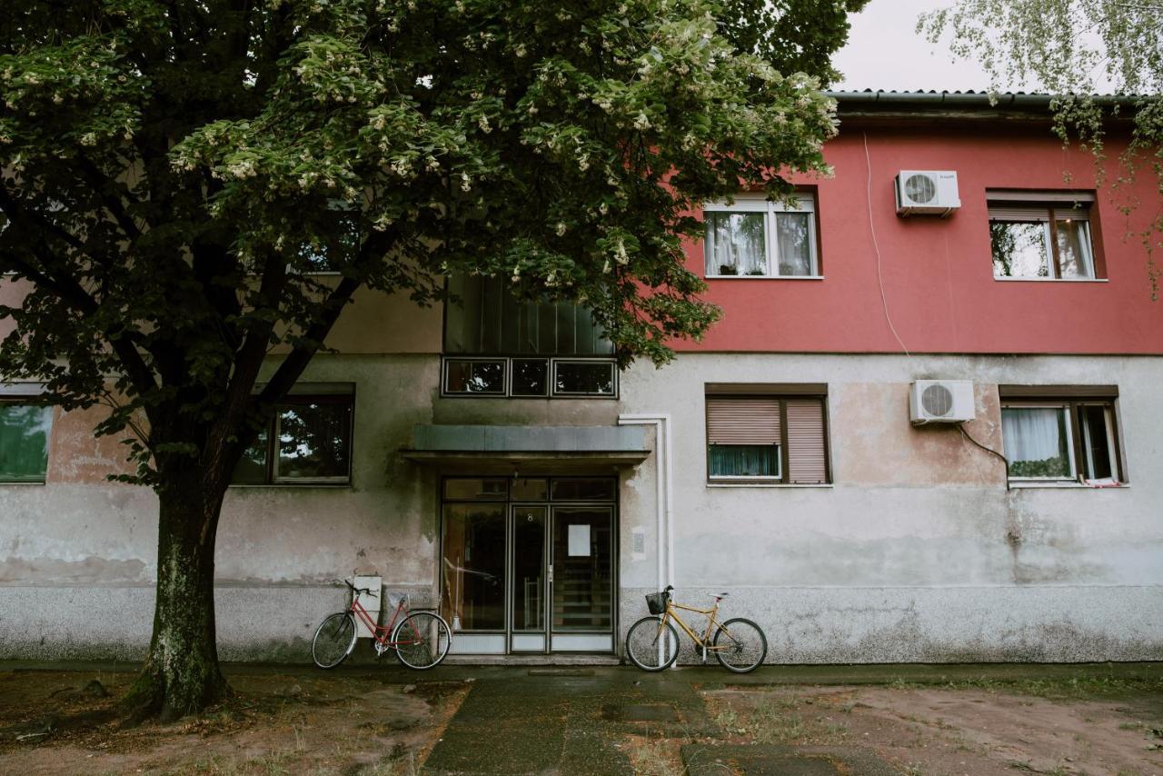 Apartman Buba Palić Exterior foto